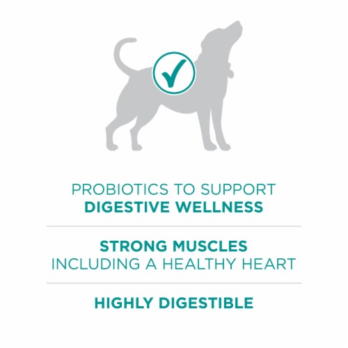 Purina ONE +Plus Digestive Health Adult Dry Dog Food Real Chicken Perspective: top