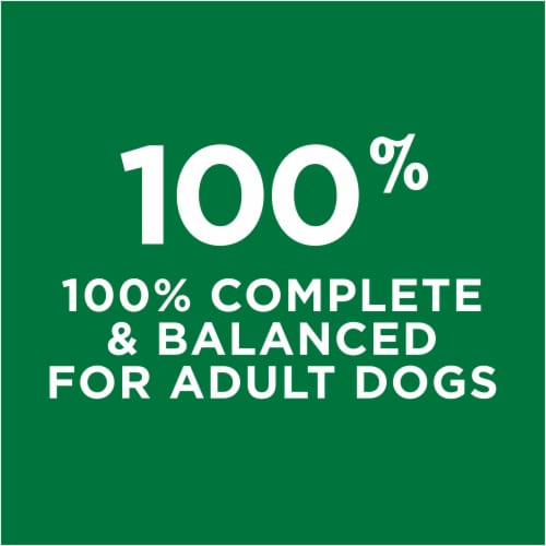 Dog Chow Complete with Real Chicken Adult Dry Dog Food Perspective: top