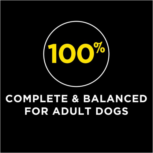 Purina Dog Chow High Protein with Real Lamb Dry Dog Food Perspective: top