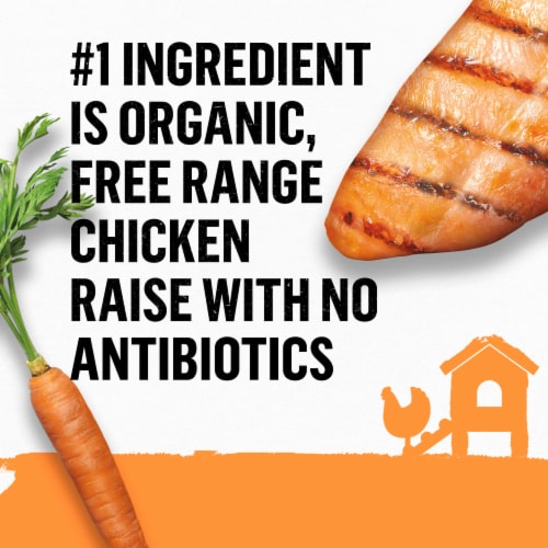 Purina Beyond Organic Wet Dog Food Chicken & Carrot Recipe with Broth Perspective: top