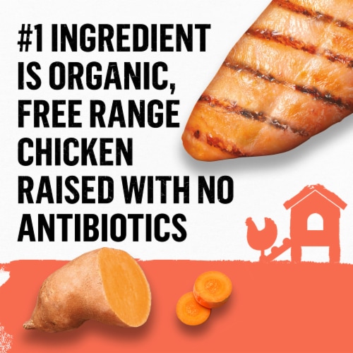 Purina Beyond Organic Wet Dog Food Chicken & Sweet Potato Recipe with Broth Perspective: top