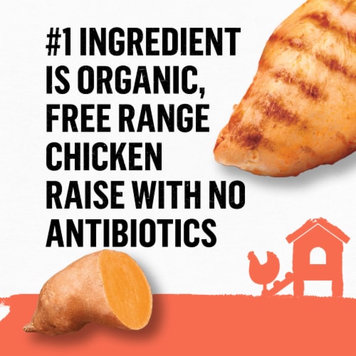 Purina® Beyond® Organic Chicken & Sweet Potato Recipe Pate Wet Cat Food Perspective: top