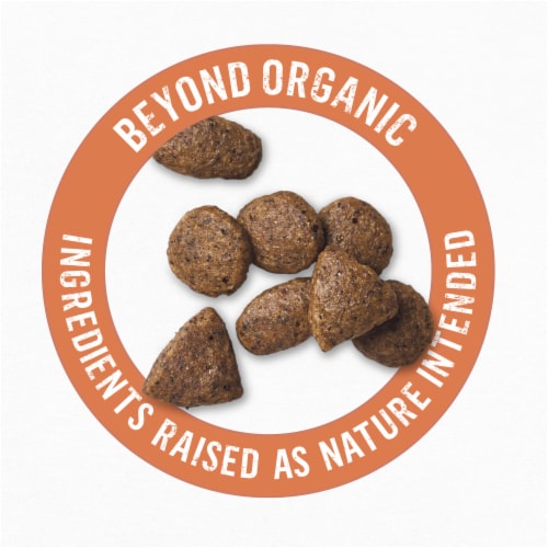 Beyond Organic Chicken Egg & Sweet Potato Adult Dry Dog Food Perspective: top