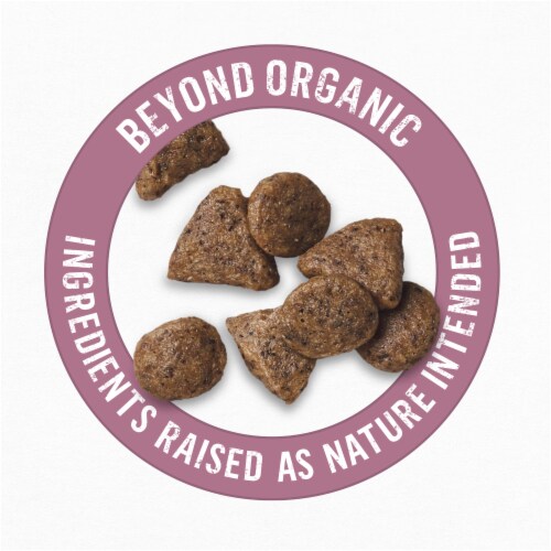 Beyond Organic Chicken Egg & Carrot Recipe Dry Small Dog Food Perspective: top
