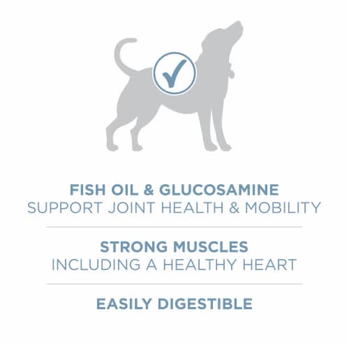 Purina ONE +Plus Joint Health Adult Dry Dog Food Real Chicken Perspective: top