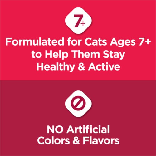 Purina Cat Chow Senior Essentials 7+ Immune + Joint Health Dry Cat Food Real Chicken Perspective: top
