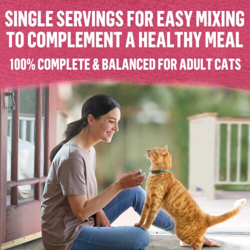 Purina Beyond Mixers+ Digestive Support Wet Cat Food Complement Turkey & Brown Rice Perspective: top