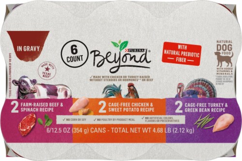 Purina grain free canned dog food sales