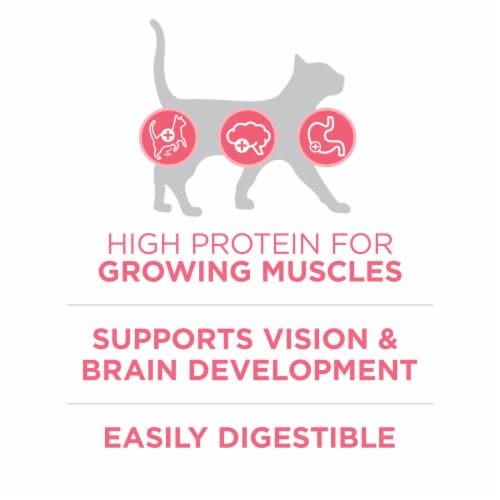Purina ONE +Plus Healthy Kitten Natural Dry Cat Food Real Chicken Perspective: top