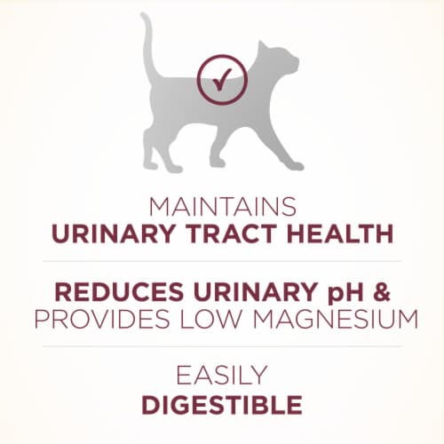 Purina ONE Urinary Tract Health Formula Dry Cat Food Perspective: top