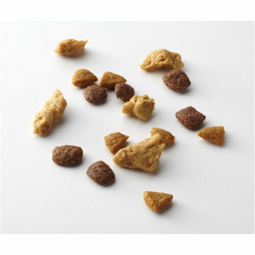 Purina ONE® +Plus Healthy Puppy Formula Perspective: top