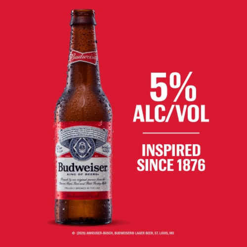 Budweiser American Lager Beer Perspective: top