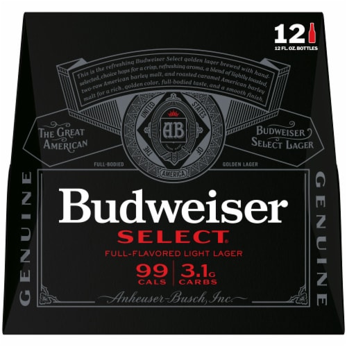 Budweiser Select Domestic Lager Beer Perspective: top
