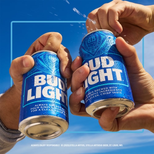 Bud Light American Light Lager Beer Perspective: top