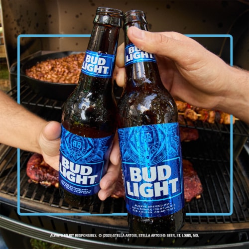 Bud Light American Light Lager Beer Perspective: top