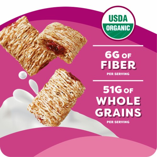 Kashi Berry Fruitful Cereal Perspective: top
