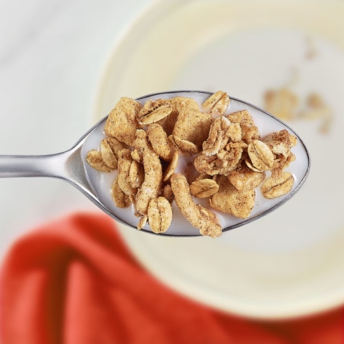 Kashi GO Breakfast Cereal Cinnamon Crisp Perspective: top