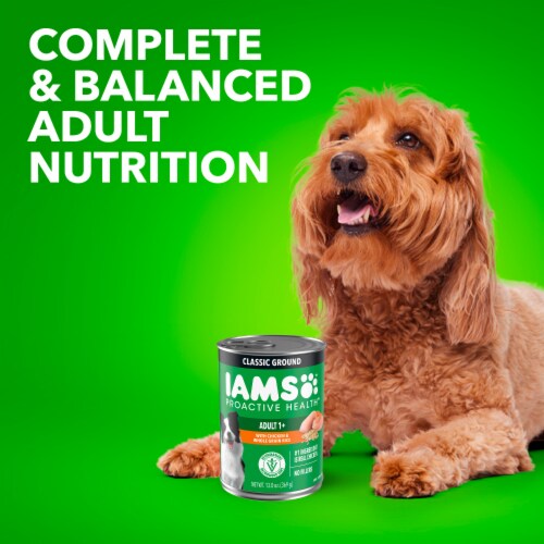 IAMS Proactive Health Adult Wet Dog Food Classic Ground with Chicken and Whole Grain Rice Perspective: top