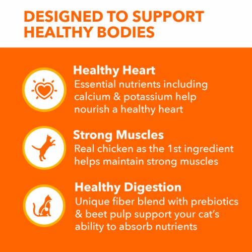 IAMS™ PROACTIVE HEALTH™ Healthy Adult with Chicken Adult Dry Cat Food Perspective: top