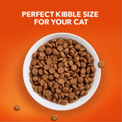 Iams Proactive Health Healthy Senior Dry Cat Food Chicken Perspective: top