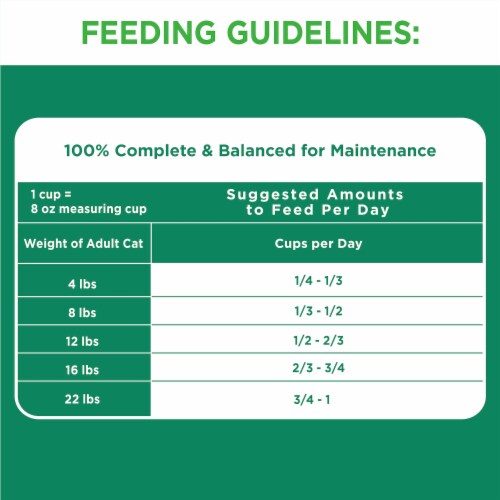 IAMS ProActive Health Healthy Senior with Chicken Dry Cat Food Perspective: top