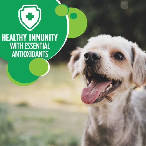 IAMS Proactive Health Small & Toy Breed Chicken Dry Dog Food Perspective: top