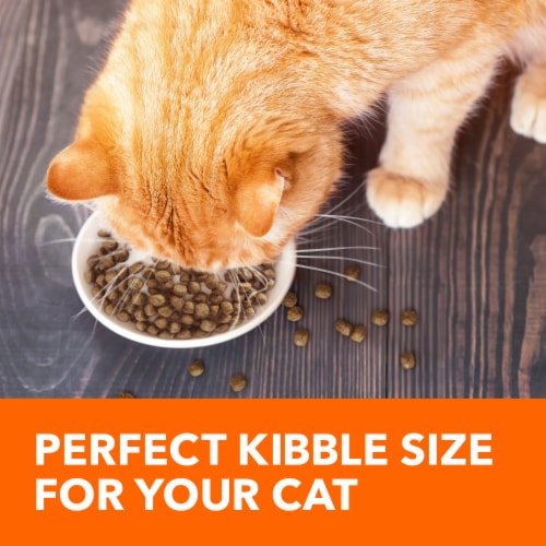 Iams Proactive Health Adult Dry Cat Food Salmon Perspective: top