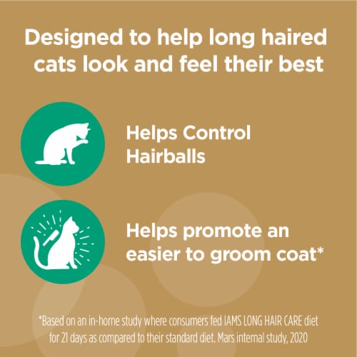 Iams Proactive Health Long Hair Care Chicken & Salmon Adult Dry Cat Food Perspective: top