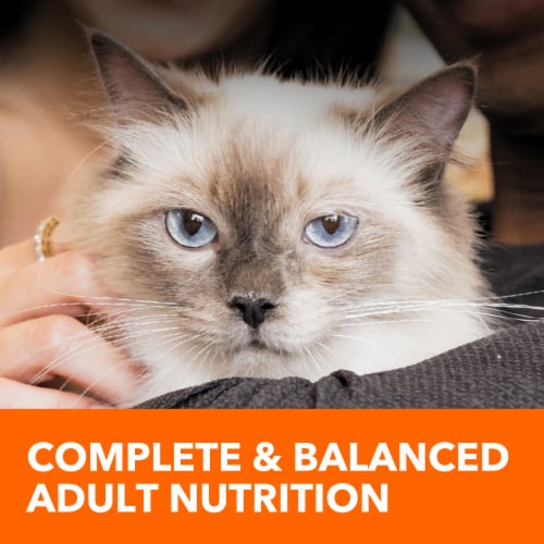 IAMS Healthy Enjoyment Chicken & Salmon Dry Cat Food Perspective: top