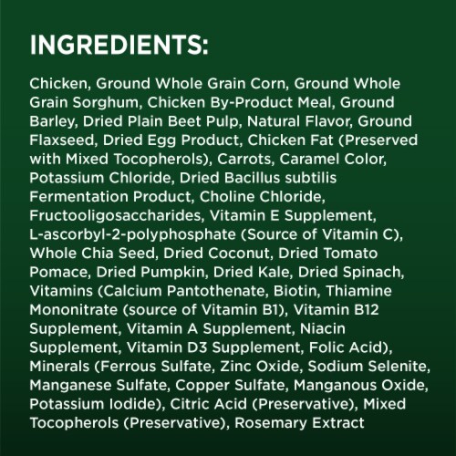 IAMS Advanced Health Immune Health Chicken & Superfoods Adult Dry Dog Food Perspective: top
