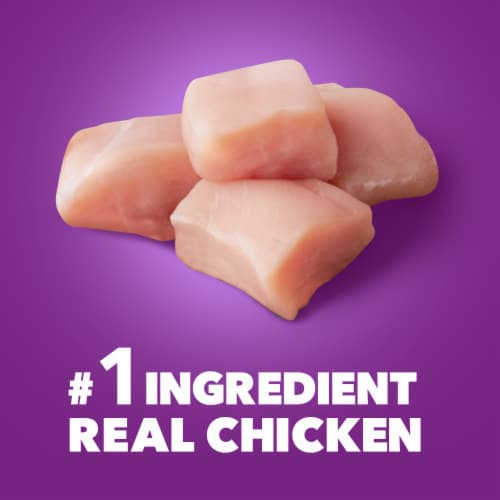 IAMS Advanced Health Skin & Coat Chicken and Salmon Adult Dry Dog Food Perspective: top