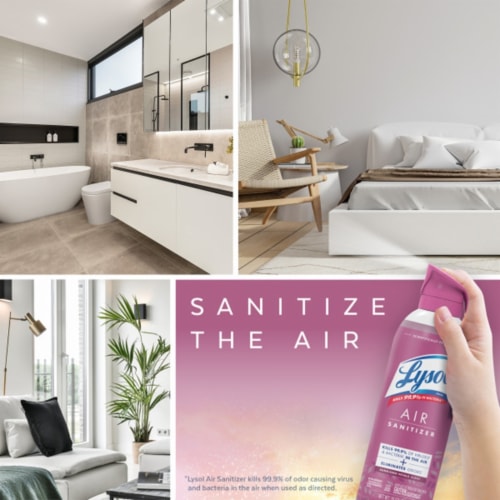 Lysol® Air Sanitizer Sunkissed Petals Scent Perspective: top