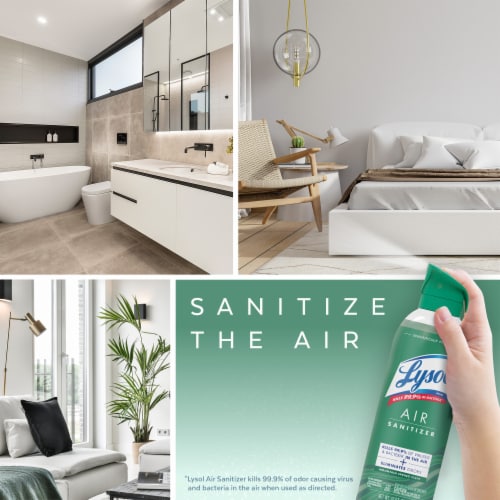 Lysol® Air Sanitizer Rainwashed Bamboo Scent Perspective: top