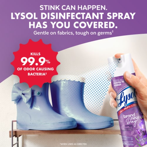 Lysol® Brand New Day™ Disinfectant Spray Lavender & Cotton Blossom Perspective: top