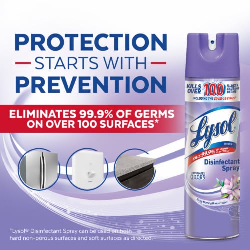 Lysol® Early Morning Breeze Scent Disinfectant Spray Perspective: top