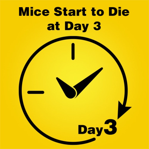 d-CON® Refillable Mice Bait Stations Perspective: top