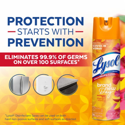 Lysol Disinfectant Spray, Sanitizing Antibacterial Spray, Mango and Hibiscus, 19 oz Perspective: top
