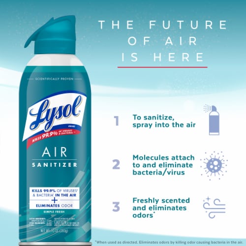 Lysol Air Sanitizing Spray, Odor Eliminating Air Freshener, Simple Fresh, 10 oz Perspective: top