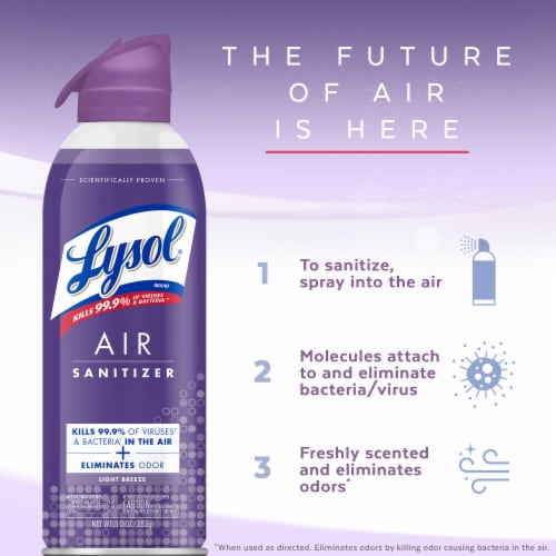 Lysol Air Sanitization and Odor Elimination Light Breeze Scent Air  Sanitizing Spray, 10 fl oz - Foods Co.