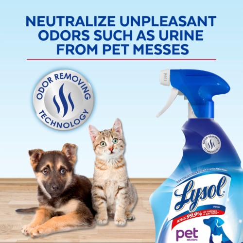Lysol Pet Solutions All Purpose Cleaner Spray, Disinfecting Spray, Citrus Blossom Perspective: top