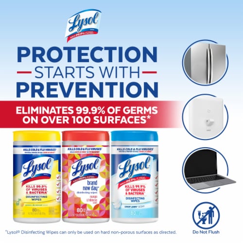 Lysol Disinfecting Wipes Variety Pack Perspective: top