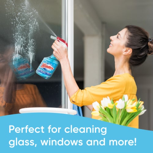 Windex® Original Glass Cleaner Perspective: top