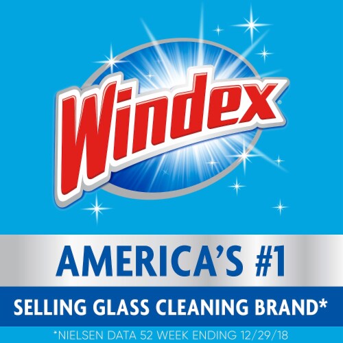 Windex Glass Cleaner with Ammonia-D Floral 640 oz. (696502) 629927 Perspective: top