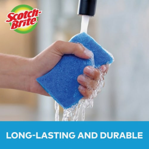 Scotch-Brite® Non-Scratch Scrub Sponge Perspective: top