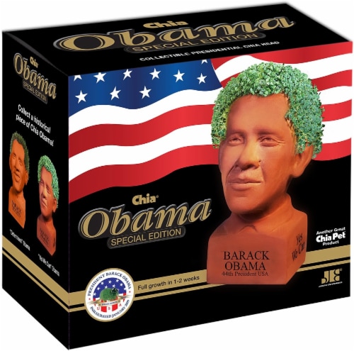 Chia Pet Planter - Freedom of Choice Obama - Determined Pose Perspective: top