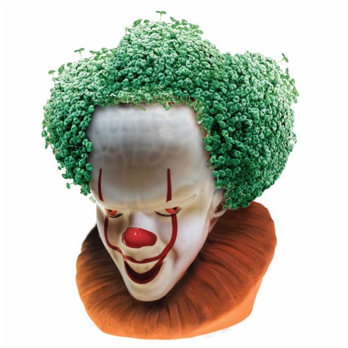 As See on TV Pennywise ("It") Chia Pet Perspective: top