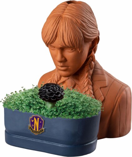 Wednesday Chia Pet Perspective: top