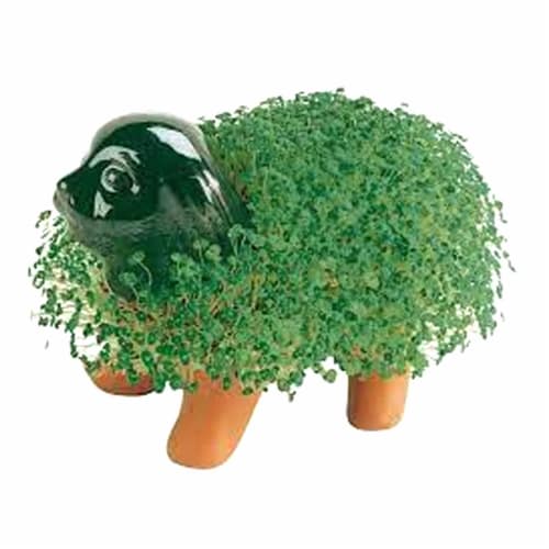 Chia Pet Handmade Decorative Planter Perspective: top