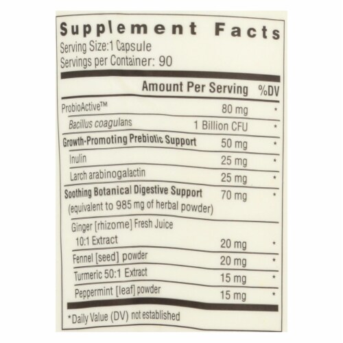 Rainbow Light ProbioActive Digestive Health Vegan Rapid Release Capsules Perspective: top