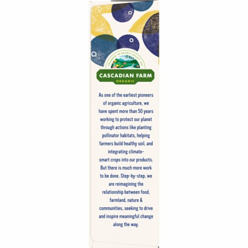 Cascadian Farm Organic Blueberry Vanilla Chewy No Sugar Added Granola Bars Perspective: top